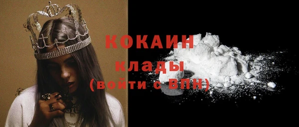 дмт Абаза