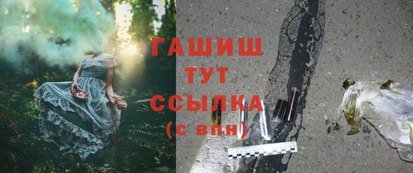 дмт Абаза