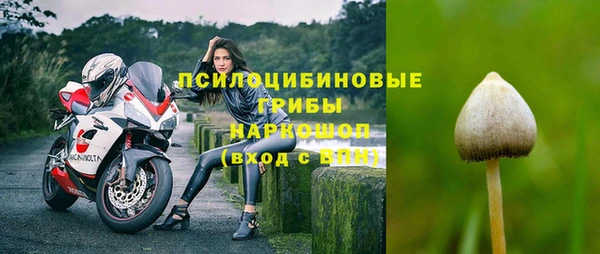 дмт Абаза