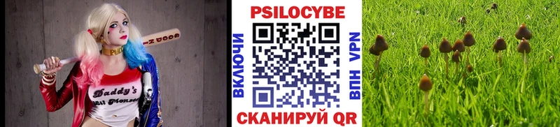 мориарти телеграм  Астрахань  Псилоцибиновые грибы Magic Shrooms 
