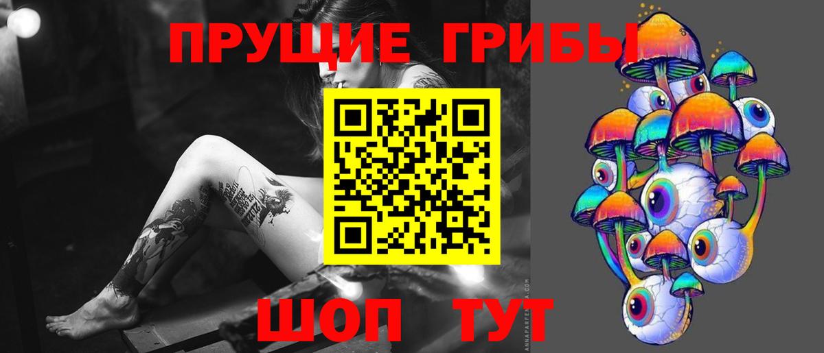 Псилоцибиновые грибы мухоморы Астрахань