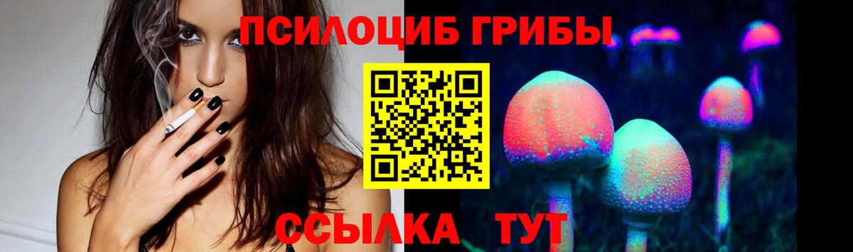 Астрахань  Псилоцибиновые грибы Psilocybine cubensis  Вход с VPN 